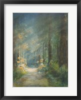 Framed Sun Soaked Redwoods