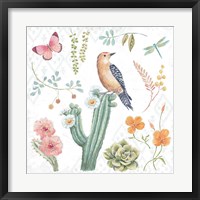 Desert Beauties II Framed Print