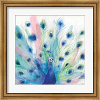 Framed 'Peacock Glory IV' border=