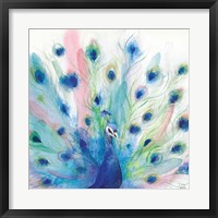 Peacock Glory IV Framed Print