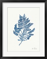 Sea Garden III Royal Blue Framed Print