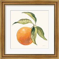 Framed 'Le Orange on Cream' border=