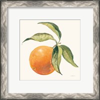 Framed 'Le Orange on Cream' border=