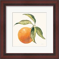 Framed 'Le Orange on Cream' border=