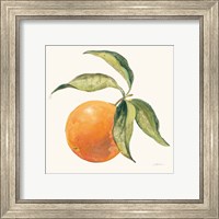 Framed 'Le Orange on Cream' border=