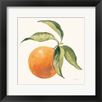 Framed Le Orange on Cream