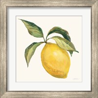 Framed 'Le Citron on Cream' border=