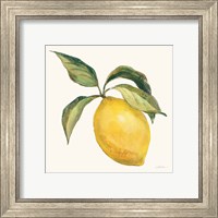 Framed 'Le Citron on Cream' border=