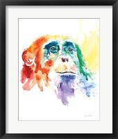 Framed Chimpanzee I