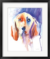 Framed Basset Hound