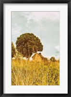 Framed Grass and Sky