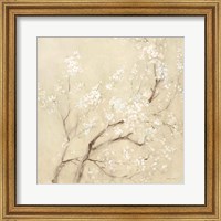 Framed 'White Cherry Blossoms II Linen Crop' border=