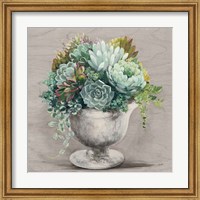 Framed 'Festive Succulents I Gray' border=