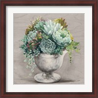 Framed 'Festive Succulents I Gray' border=