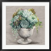 Festive Succulents I Gray Framed Print