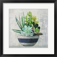 Framed 'Succulent Still Life II Navy' border=