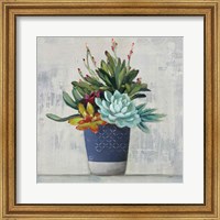 Framed 'Succulent Still Life I Navy' border=