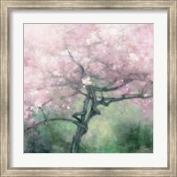 Framed Blooming Apple Tree