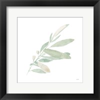 Sage I Framed Print