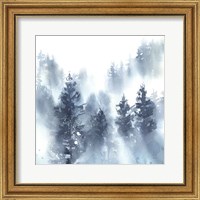 Framed 'Misty Forest II' border=