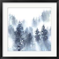Misty Forest II Framed Print