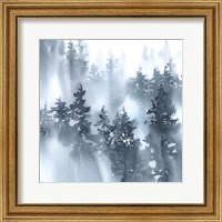 Framed 'Misty Forest I' border=