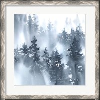 Framed 'Misty Forest I' border=