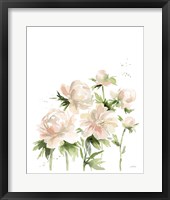 Framed Peonies I