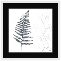 Framed 'Nordic Fern I' border=