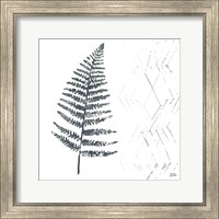 Framed 'Nordic Fern I' border=