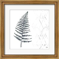 Framed 'Nordic Fern I' border=