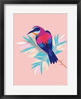 Exotic Birds II Framed Print