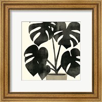 Framed 'Plantling II' border=