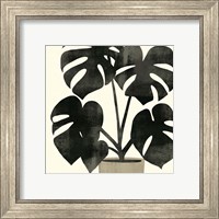 Framed 'Plantling II' border=