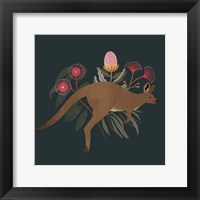 Framed Australian Animals III