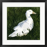 Lone Duck I Framed Print