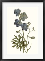 Soft Blue Botanicals V Framed Print