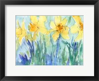 Framed Daffodil Blooms II