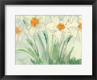 Framed Daffodils Orange and White II