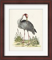 Framed 'Antique Heron & Cranes I' border=