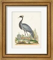 Framed 'Antique Heron & Cranes II' border=