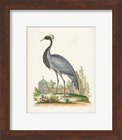 Framed 'Antique Heron & Cranes II' border=