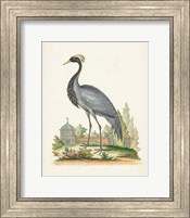 Framed 'Antique Heron & Cranes II' border=