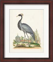 Framed 'Antique Heron & Cranes II' border=