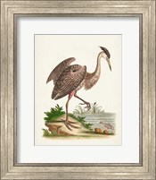 Framed 'Antique Heron & Cranes III' border=