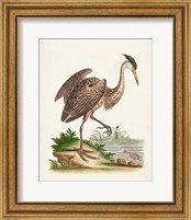 Framed 'Antique Heron & Cranes III' border=