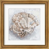 Framed 'Coral Display III' border=