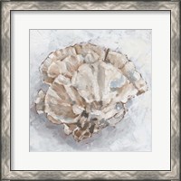 Framed 'Coral Display III' border=