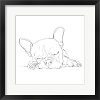 Framed French Bulldog Contour I