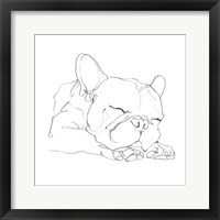 Framed French Bulldog Contour II